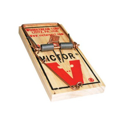 featured product
